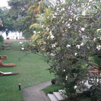 фото из отзыва ID 674217