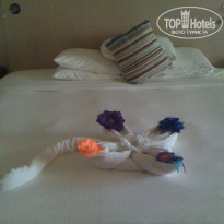 фото из отзыва ID 674474