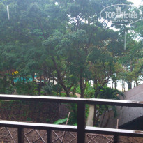 фото из отзыва ID 674688