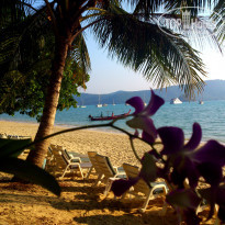 фото из отзыва ID 674754