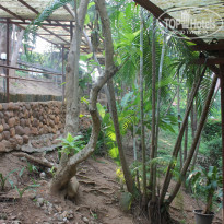 фото из отзыва ID 674997