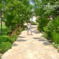 фото из отзыва ID 67485