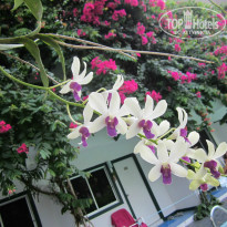 фото из отзыва ID 675351