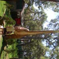 фото из отзыва ID 675081