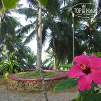 фото из отзыва ID 675141