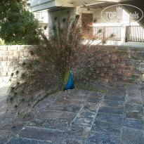 фото из отзыва ID 675254