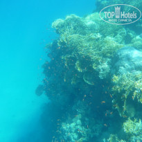 фото из отзыва ID 675491