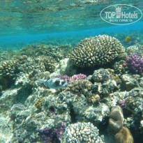 фото из отзыва ID 675491