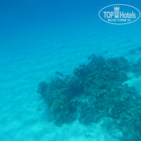 фото из отзыва ID 675491