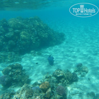 фото из отзыва ID 675491