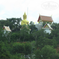 фото из отзыва ID 675740