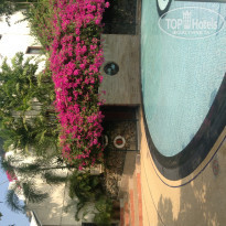 фото из отзыва ID 675850