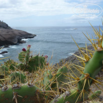 фото из отзыва ID 675965