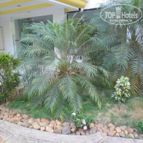 фото из отзыва ID 675193