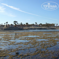 фото из отзыва ID 67517