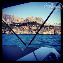 фото из отзыва ID 676242