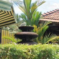 фото из отзыва ID 676785