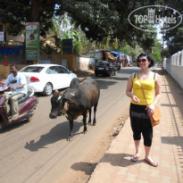 фото из отзыва ID 676997