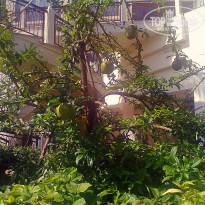 фото из отзыва ID 676028