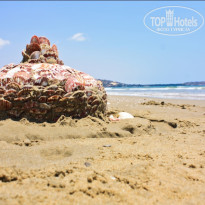 фото из отзыва ID 677050