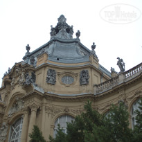 фото из отзыва ID 677288