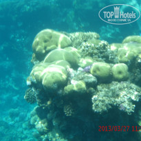 фото из отзыва ID 677550