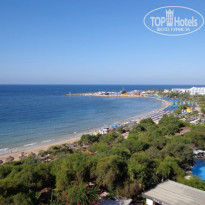 фото из отзыва ID 677671