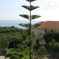 фото из отзыва ID 677697