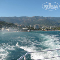 фото из отзыва ID 677719