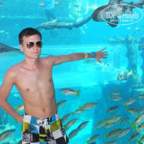 фото из отзыва ID 677936