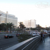 фото из отзыва ID 677071