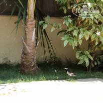 фото из отзыва ID 678125