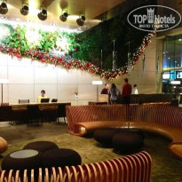 фото из отзыва ID 678279