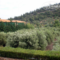 фото из отзыва ID 678520