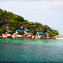 фото из отзыва ID 678604