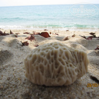 фото из отзыва ID 678623