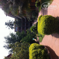 фото из отзыва ID 678665