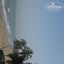 фото из отзыва ID 678780