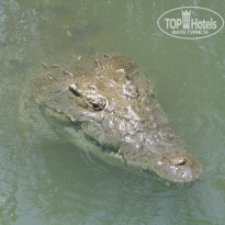 фото из отзыва ID 678995