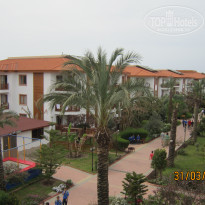 фото из отзыва ID 678847