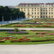 фото из отзыва ID 679110