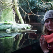 фото из отзыва ID 679149