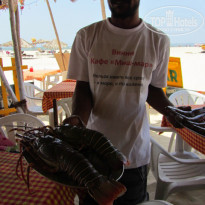 фото из отзыва ID 679304