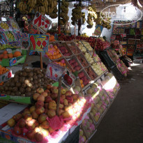 фото из отзыва ID 679359