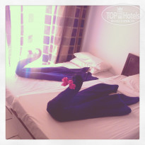 фото из отзыва ID 679820