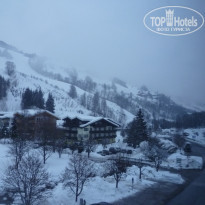 фото из отзыва ID 679854