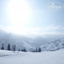 фото из отзыва ID 679854