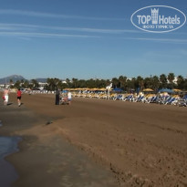 фото из отзыва ID 679239