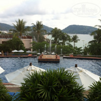 фото из отзыва ID 680082