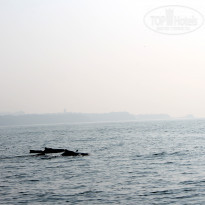 фото из отзыва ID 680137